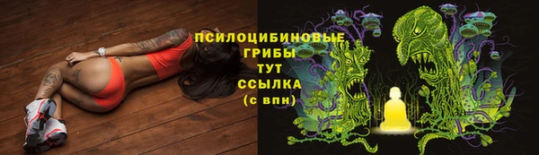 стаф Абаза