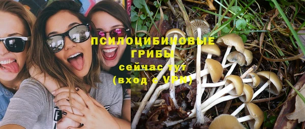 прущие крисы Алзамай