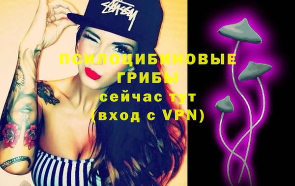 стаф Абаза