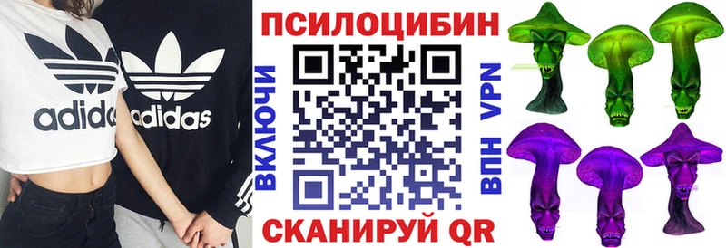 kraken как зайти  Сим  Галлюциногенные грибы Psilocybe 